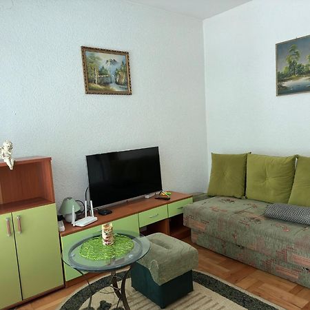 Apartman Radicevic Vrnjacka Banja Exterior photo