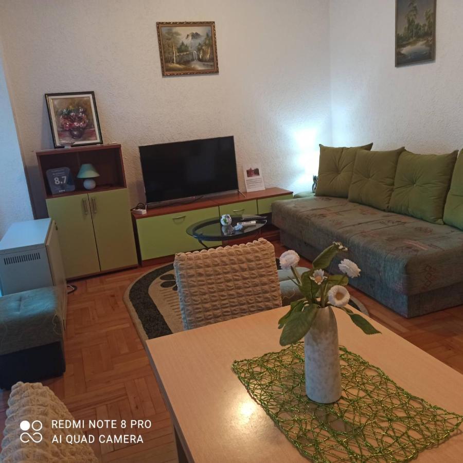 Apartman Radicevic Vrnjacka Banja Exterior photo